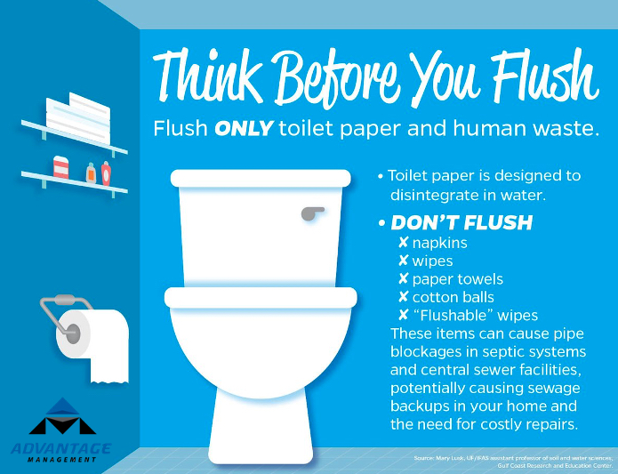 Can you flush 2025 litter down the toilet