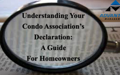 Understanding Your Condo Association’s Declaration: A Guide for Homeowners