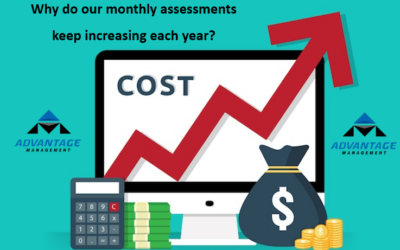 Why Do Assessments Change? We Have Answers!