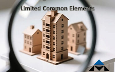 Understanding: Common Elements vs. Limited Common Elements